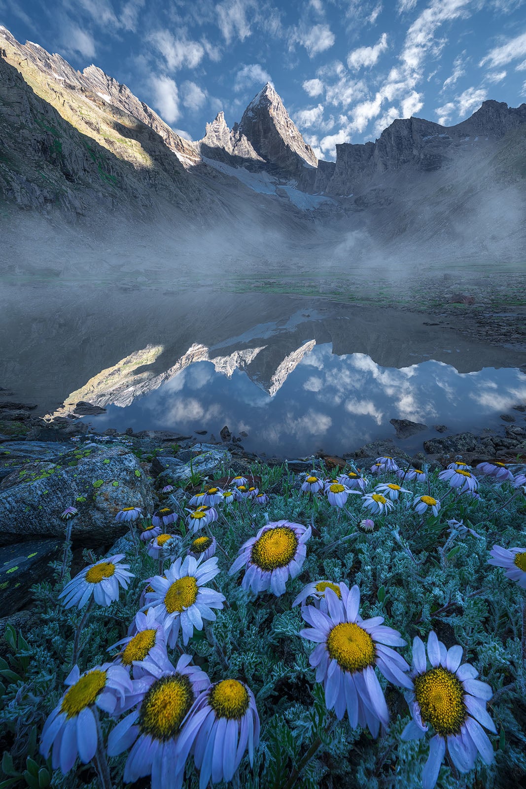 Purple wildflowers with yellow centers bloom in the foreground, with a calm mountain lake and mist. A tall rocky peak and clouds are reflected in the water under a partly cloudy sky.