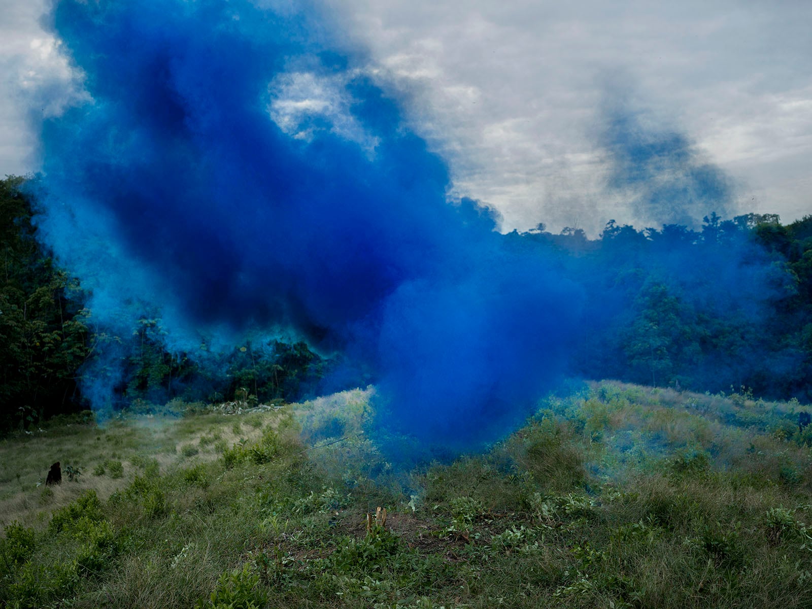 A thick cloud of bright blue smoke billows over a grassy field with trees and dense forest in the background under a cloudy sky.