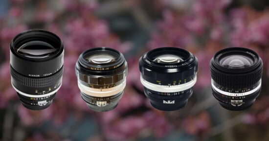 Four vintage Nikon camera lenses are displayed in a row against a blurred pink and green floral background. Each lens has distinct markings and colored rings indicating different models and specifications.