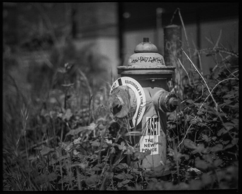 A black-and-white photo of a fire hydrant surrounded by overgrown grass and plants. Stickers and graffiti cover the hydrant, including one that reads "NASA" and another circular sticker.