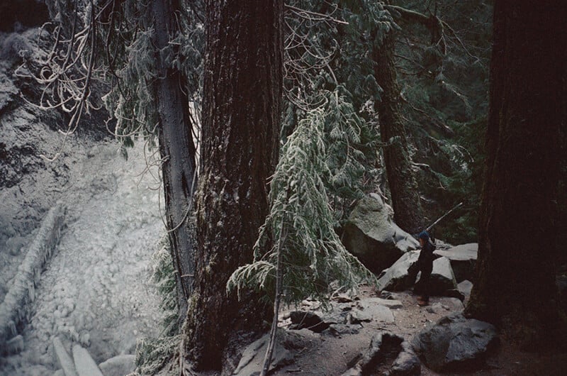 A person carrying a backpack and hiking pole stands among large evergreen trees and rocks on a forest trail, with a frosty, misty landscape visible in the background.