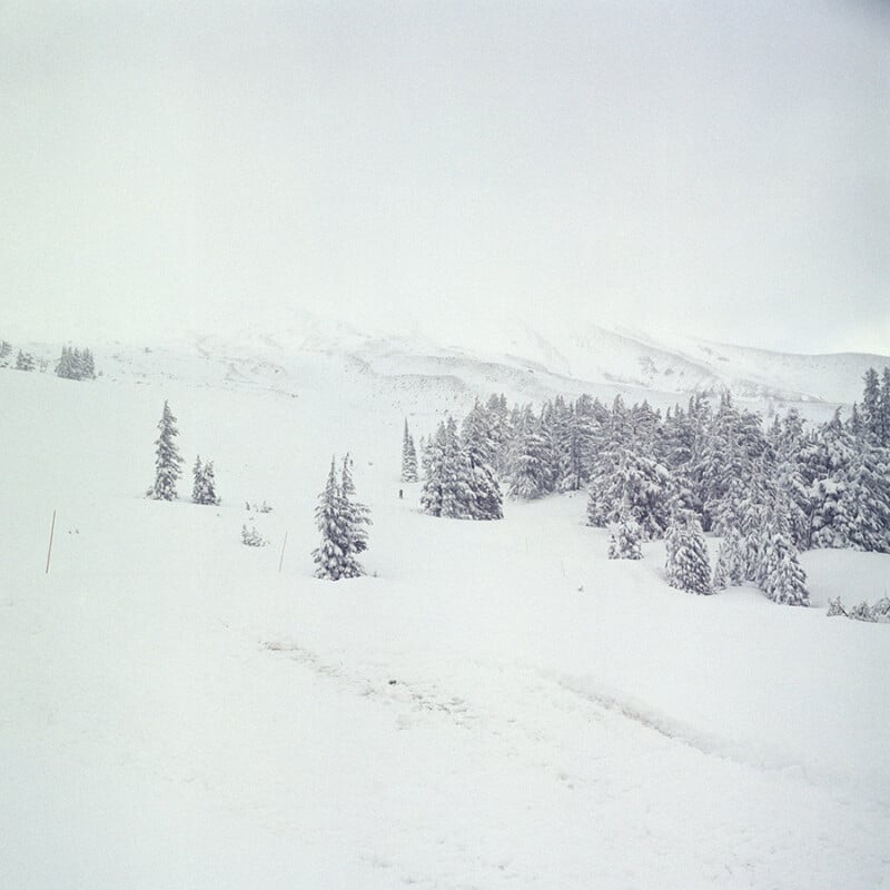 A snow-covered landscape with scattered evergreen trees and distant hills barely visible through a heavy winter fog or snowfall. The scene appears cold, quiet, and serene.
