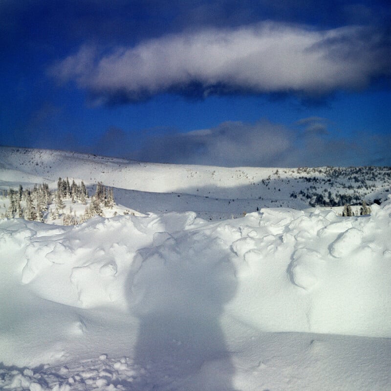 A snowy landscape with uneven snowdrifts, scattered trees in the distance, and a blue sky with white clouds. A person's shadow is visible in the foreground.