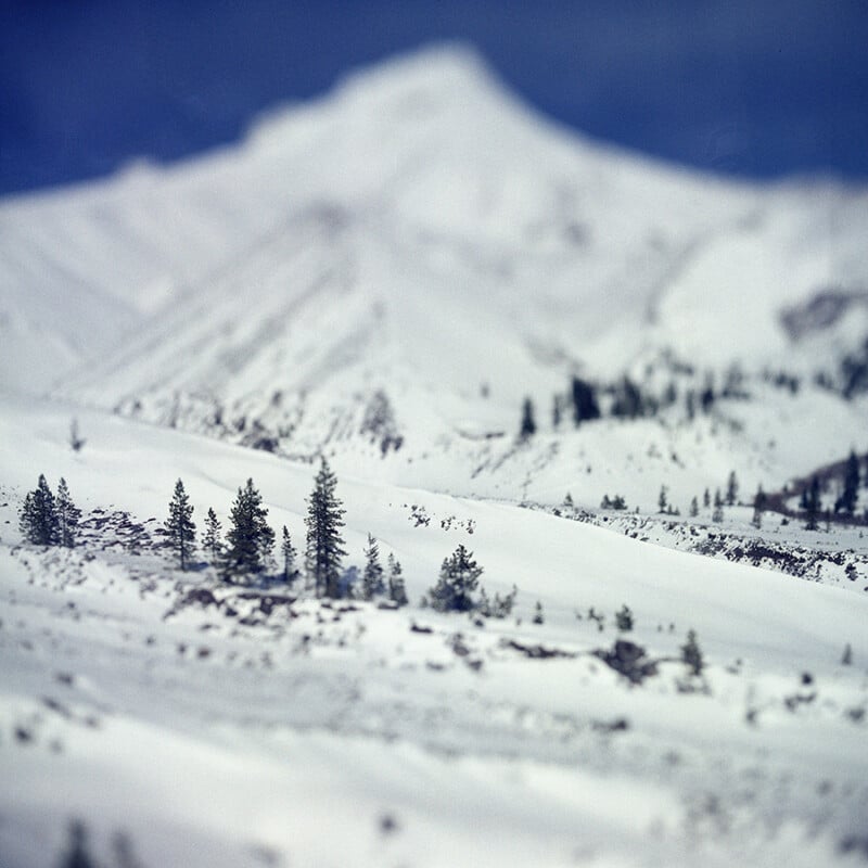 Snow-covered mountains with a blurred, white peak in the background and scattered evergreen trees in the foreground, creating a serene winter landscape under a clear sky.