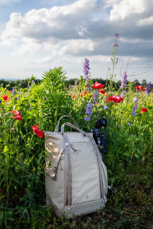 A beige backpack with camera gear leans against tall wildflowers, including red poppies and purple blossoms, in a sunny meadow under a partly cloudy sky.