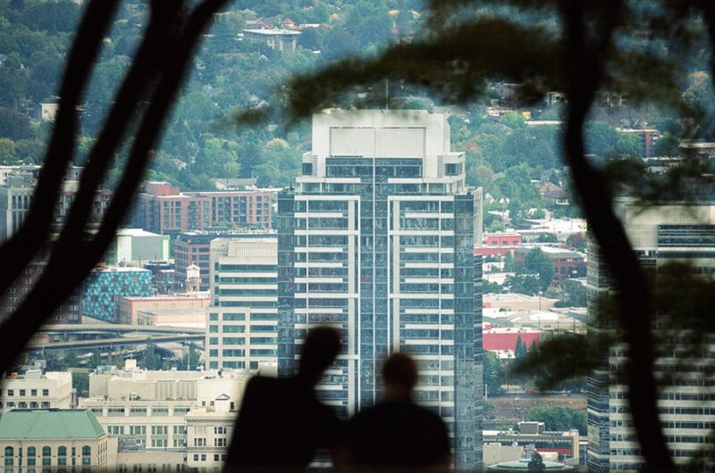Two people are seen in silhouette looking at a cityscape with tall buildings, framed by tree branches in the foreground.