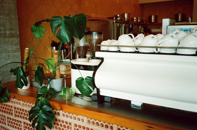 A white espresso machine with stacked cups sits on a wooden counter, surrounded by green monstera plant leaves. Coffee beans and kitchen items are visible in the background.
