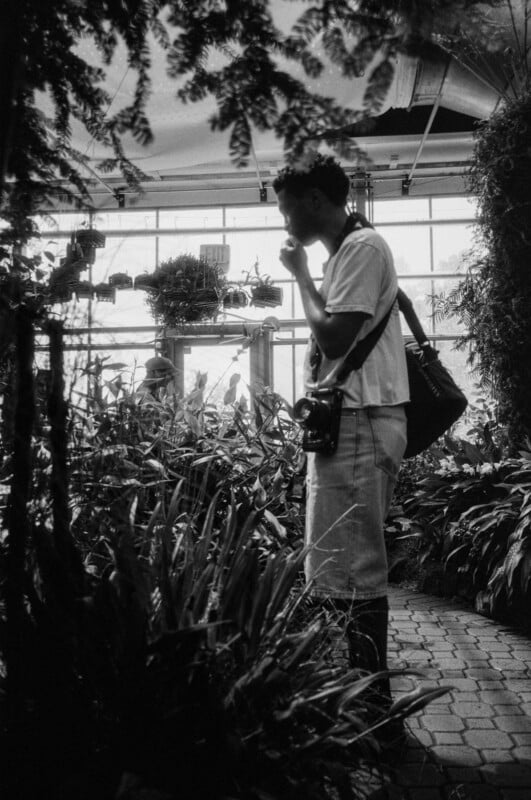 A person stands among lush plants in a greenhouse, wearing a camera around their neck and holding something near their mouth. Sunlight streams through large windows, creating a peaceful, contemplative atmosphere.