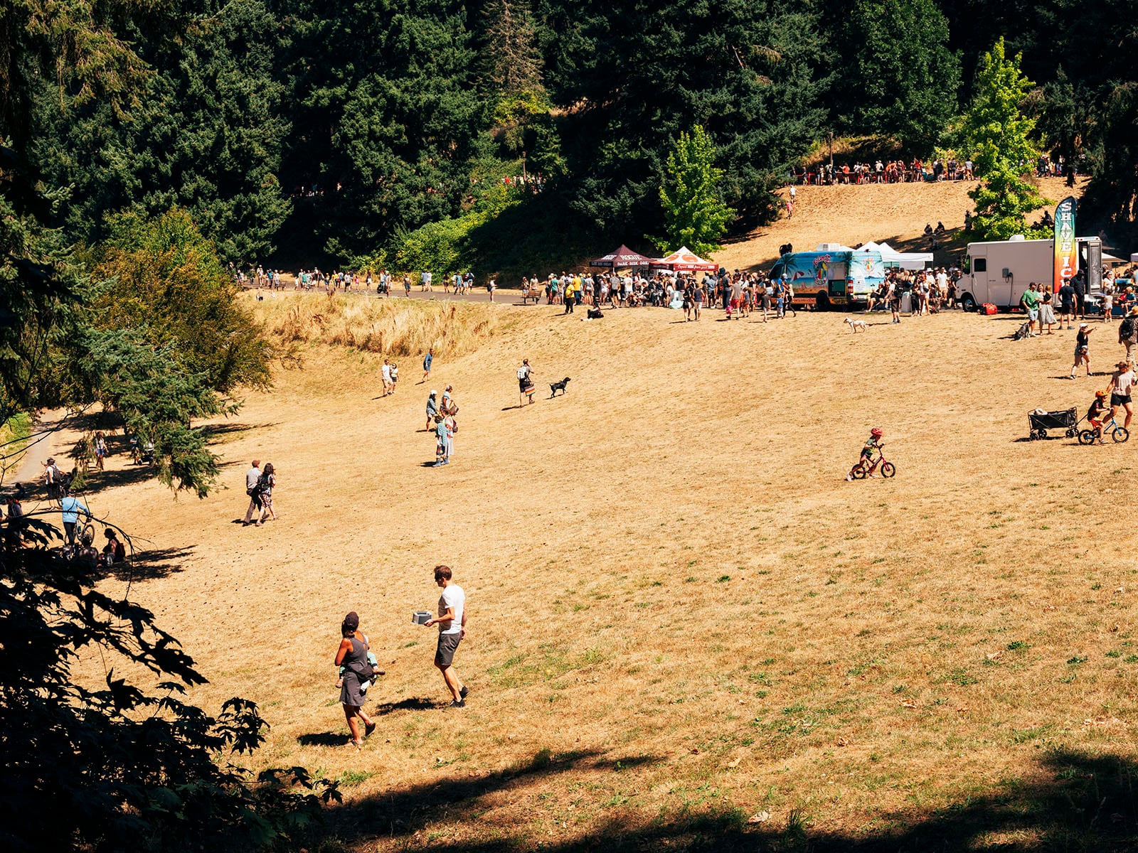 People gather on a sunny, grassy hillside near food trucks and tents; some walk, others sit or ride bikes, with tall trees and more people in the background.