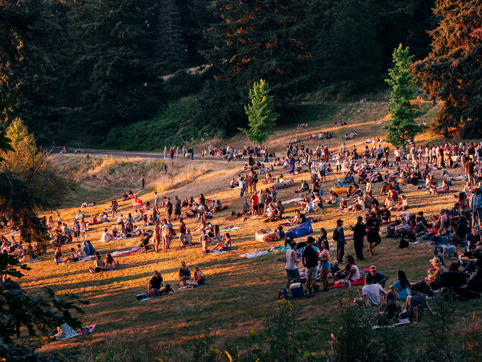 A large group of people are relaxing and socializing on a grassy hillside surrounded by trees, some sitting on blankets and others standing, enjoying a sunny day outdoors.
