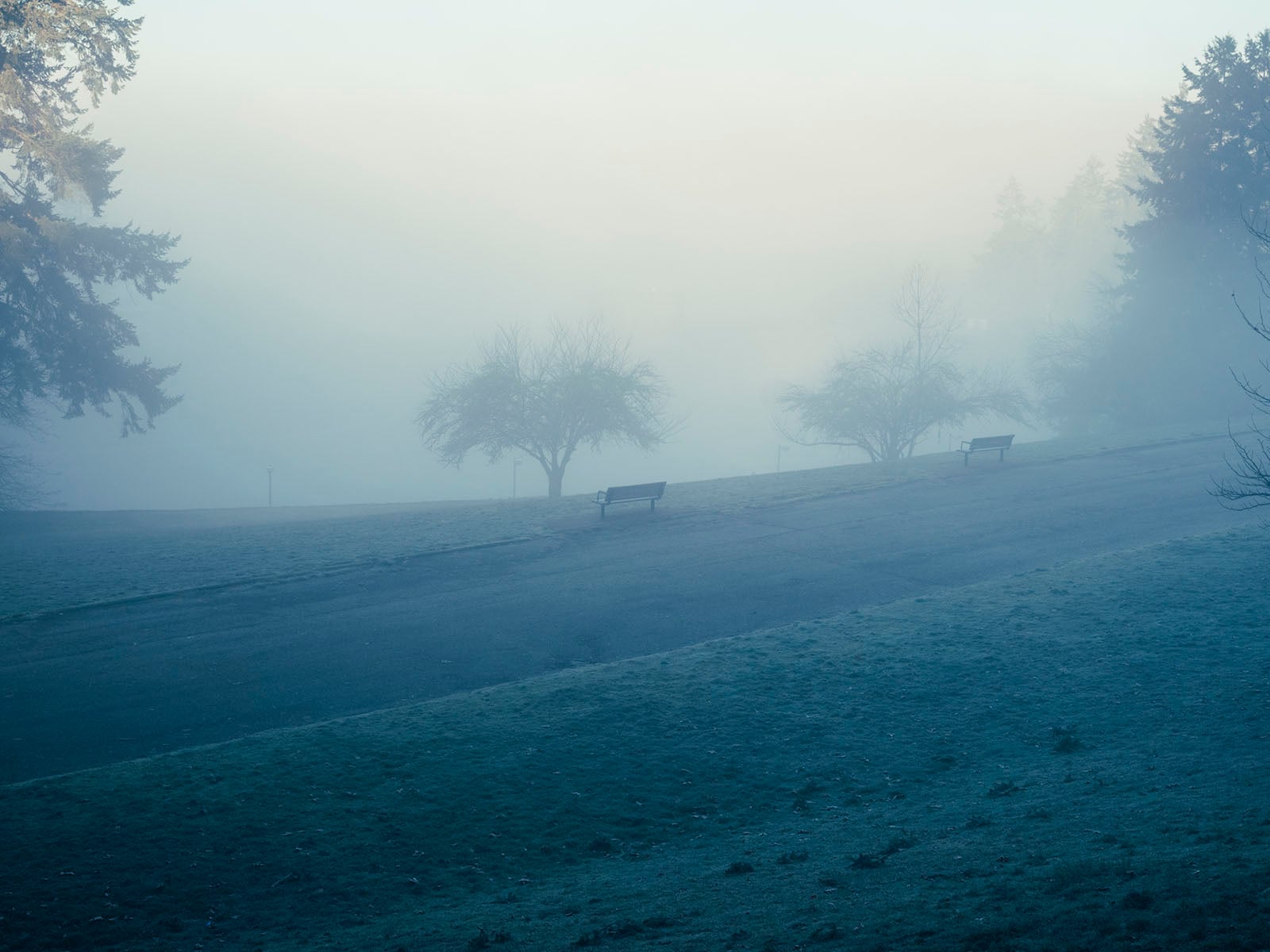 A foggy park scene with a sloped grassy hill, two empty benches, and bare trees. The mist creates a soft, muted atmosphere, and visibility fades in the distance. The image feels calm and peaceful.