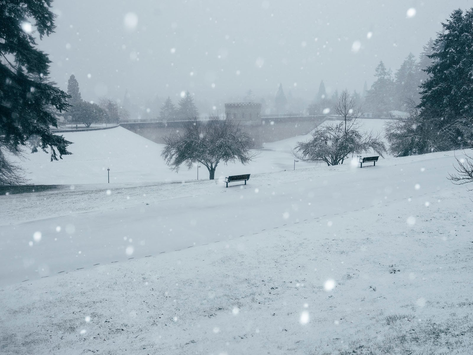 A snowy park scene with two empty benches, trees covered in snow, and large snowflakes falling. The ground and distant landscape are blanketed in white, and a stone structure is visible in the background.