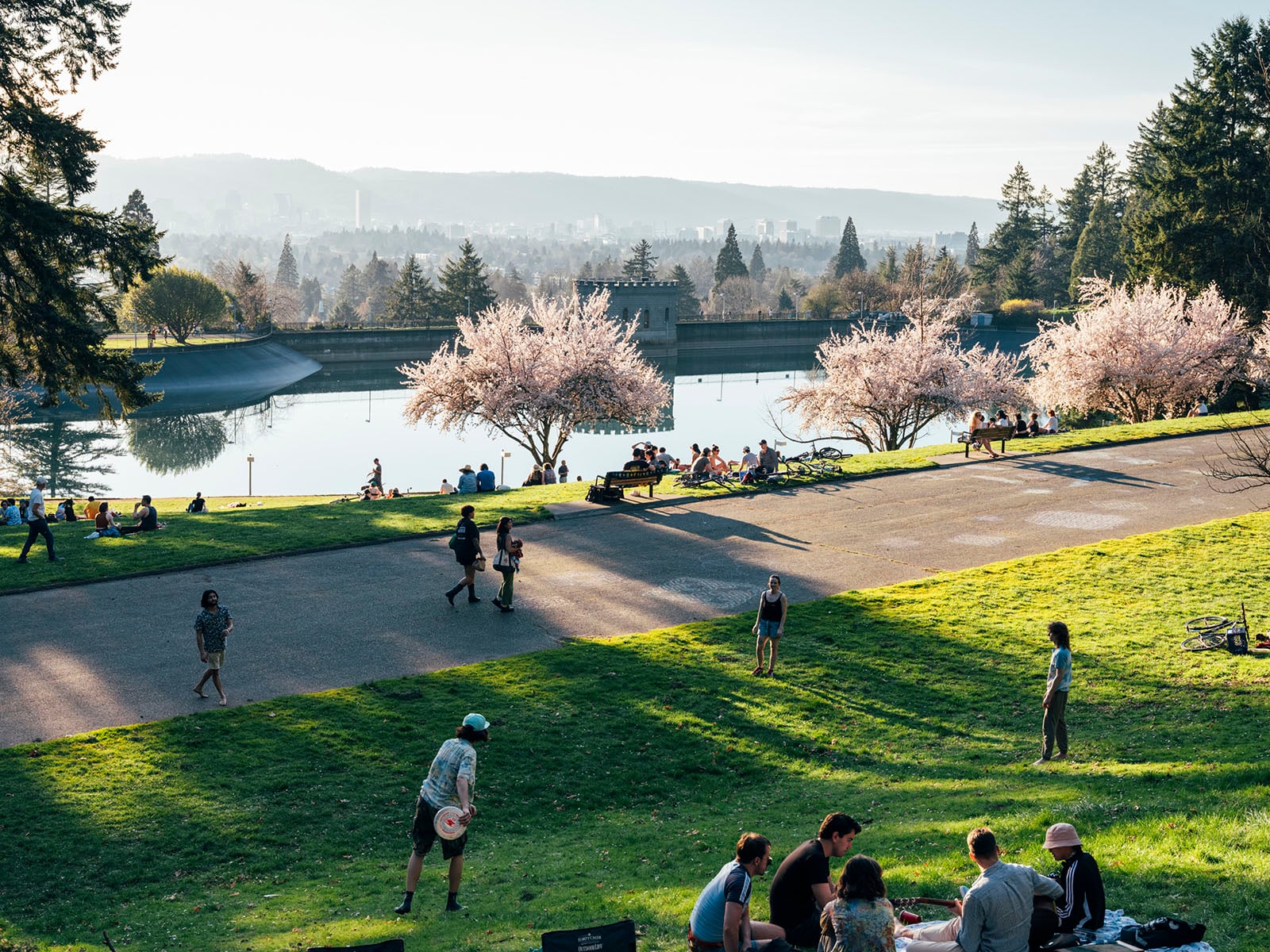 People enjoy a sunny day at a park with green grass, blooming cherry blossom trees, and a large reflective reservoir. Some sit in groups, others walk or play frisbee, with a city skyline and hills in the distant background.