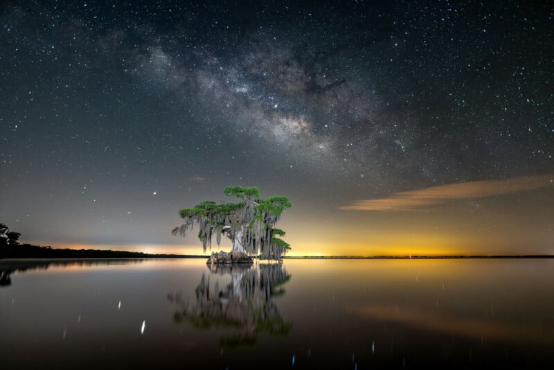 A small cluster of cypress trees rises from calm water, perfectly reflecting the trees. Above, the Milky Way stretches across a star-filled night sky with a faint glow on the horizon.