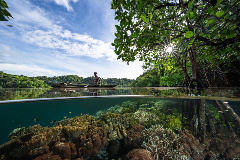 A person paddles a wooden canoe on clear water, with lush green trees above and vibrant coral reefs visible below the water’s surface under a bright, sunny sky.