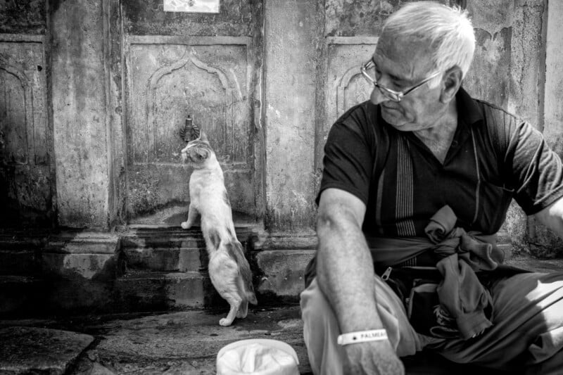 An elderly man sits on stone steps beside a wall, looking at a cat standing on its hind legs, reaching up to a small faucet. The scene is in black and white, conveying a calm, contemplative mood.