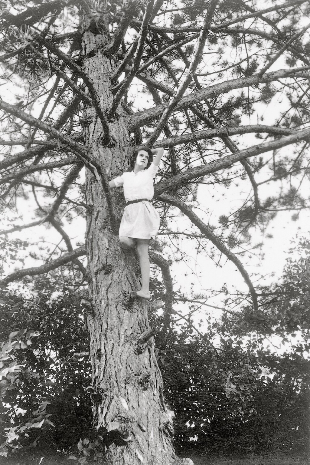 Collector Scours Flea Markets for Vintage Photos of Women in Trees ...
