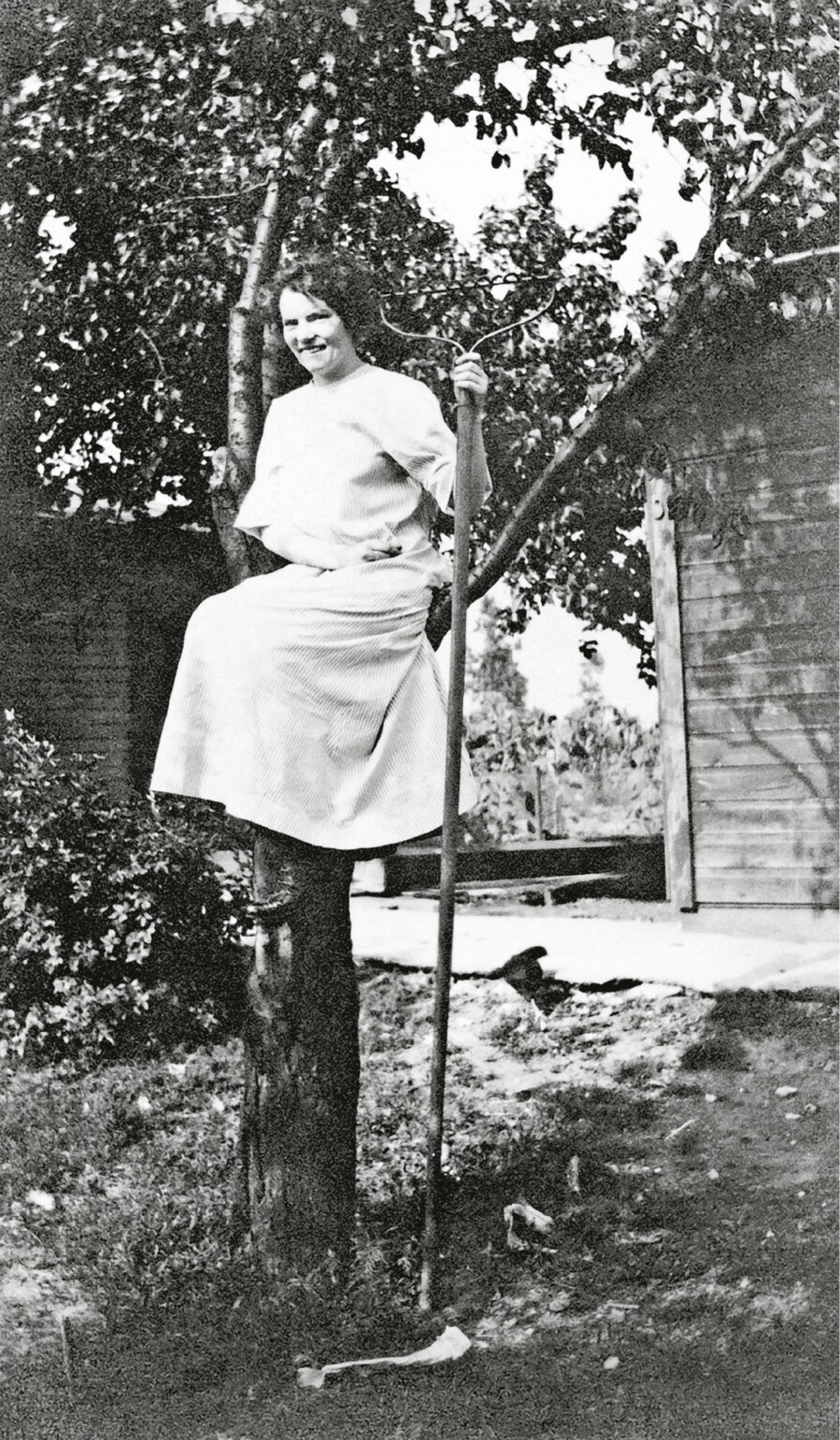 Collector Scours Flea Markets for Vintage Photos of Women in Trees ...