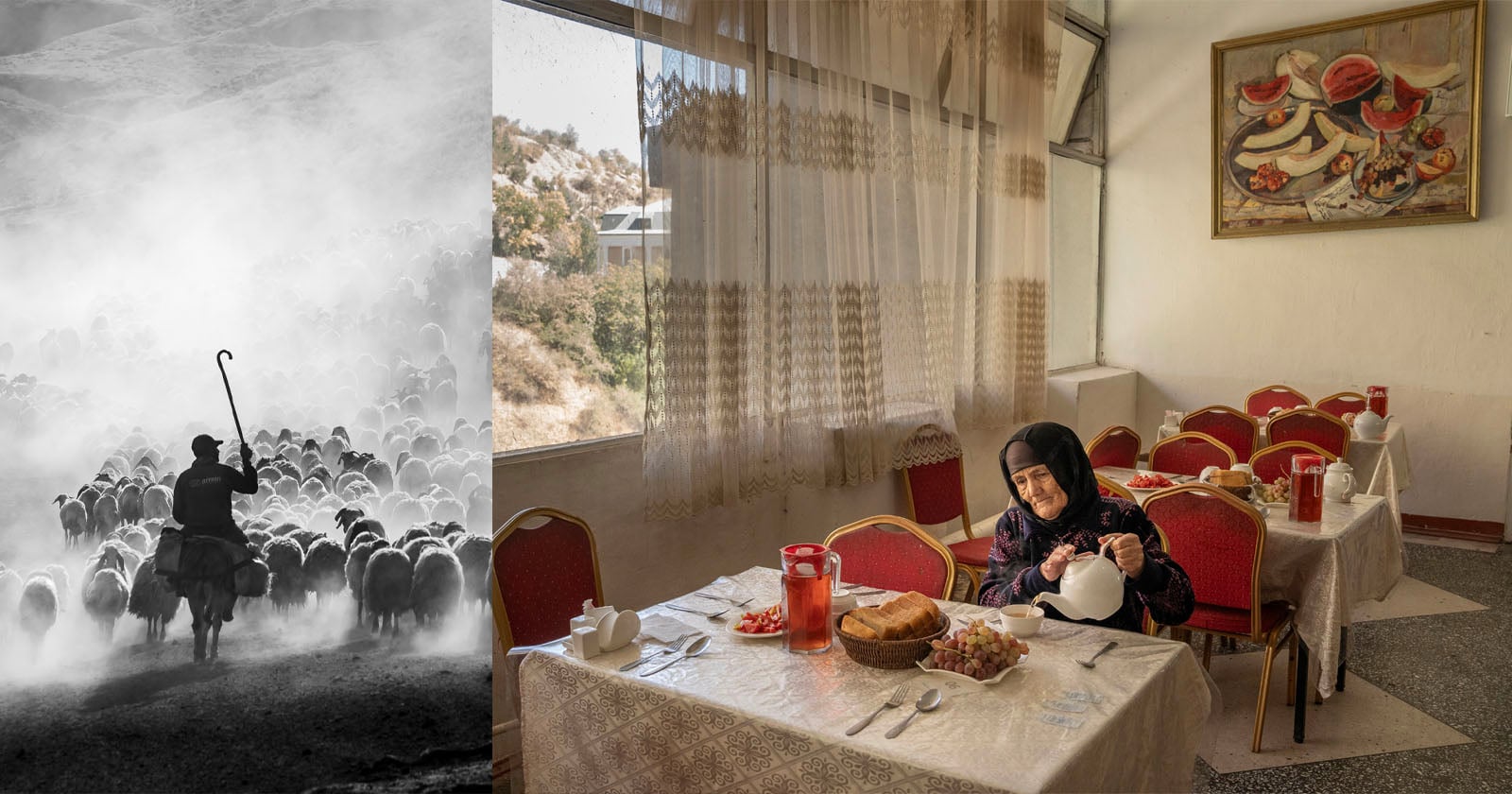 The image is split: on the left, a shepherd in silhouette guides a flock of sheep through dust; on the right, an elderly woman stitches at a table in a bright, empty dining room with food and a painting of fruit on the wall.