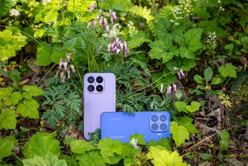 Two smartphones, one purple and one blue, are placed upright on the grass among green plants and pink wildflowers in a natural outdoor setting.