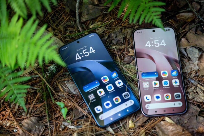 Two smartphones with different screen backgrounds lie on the ground among pine needles, dry leaves, and green fern plants. Both screens display the time 4:54 and a grid of colorful app icons.