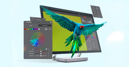 A blue and green parrot flies in front of a computer monitor displaying a bright green screen, with colorful graphic design tool windows floating around it.