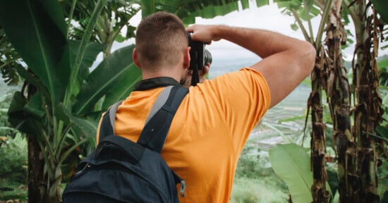 A person wearing an orange shirt and a backpack stands among large green banana leaves, photographing a scenic valley with rice fields. The scene is lush and tropical.