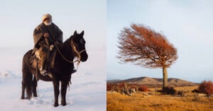 A man wearing traditional clothing rides a black horse in a snowy landscape on the left; on the right, a windswept tree stands alone in a golden field with hills in the background.