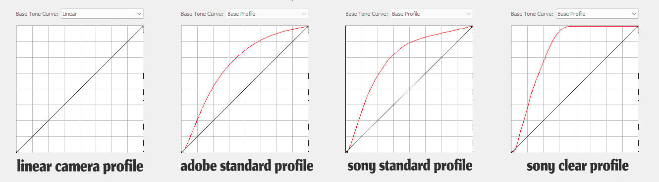 How to Leverage Linear Camera Profiles in Your Editing Workflow | PetaPixel