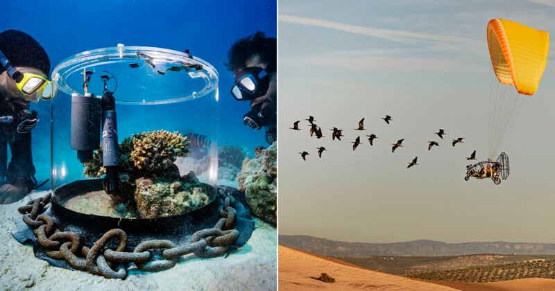  On the left, scuba divers observe equipment in a clear cylinder on the ocean floor. On the right, a person in a powered paraglider flies beside a flock of birds over a sandy landscape.
