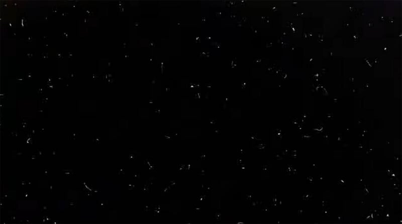 A black background with numerous small white specks scattered across it, resembling stars or snowflakes in a dark night sky.