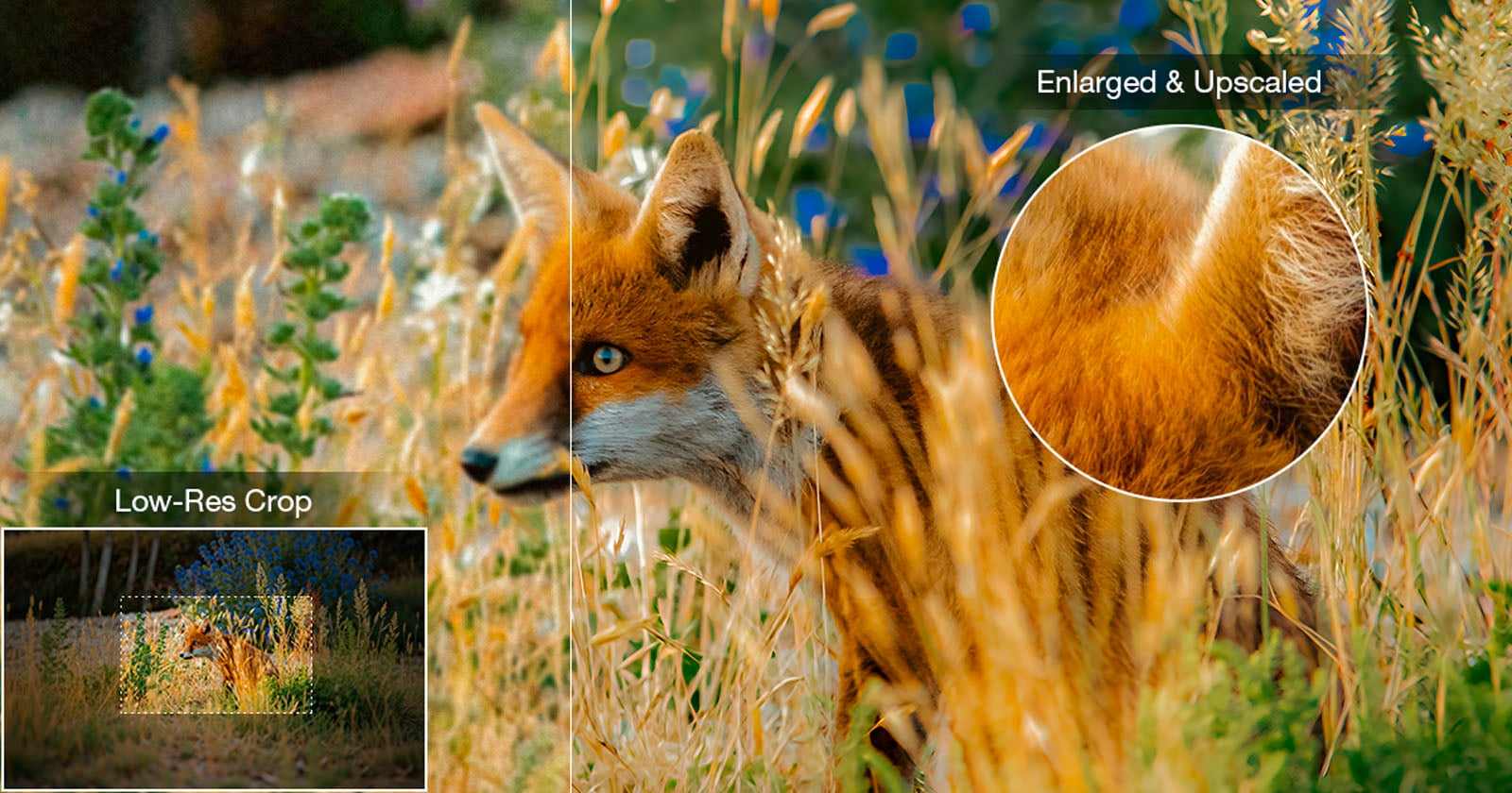 6 Best Image Upscalers Tested: Photo Upscaling Without the Plastic Look