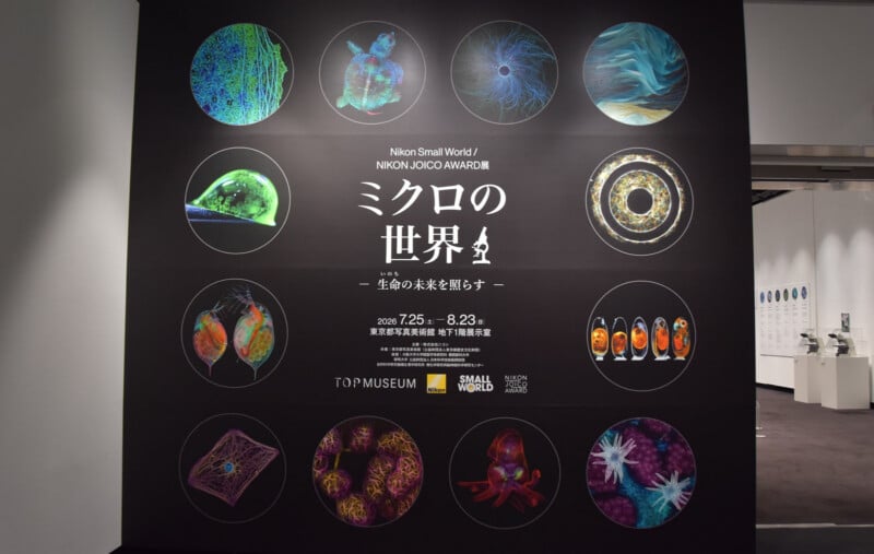 A large black exhibition wall displays the Nikon Small World and Nikon Joico Award title, "Micro World - Illuminating the Future of Life," surrounded by twelve circular microscopic images of biological structures, with event dates and museum information below.