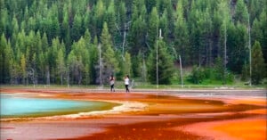 Two people walk near a vibrant hot spring with orange, yellow, and blue water in front of a dense forest of tall evergreen trees.