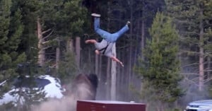 A man is being thrown into the air by a bison in a wooded area, with dust rising and a white SUV parked nearby.