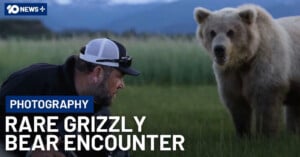A man in outdoor gear crouches in tall grass, facing a large grizzly bear nearby. Text reads: "Photography Rare Grizzly Bear Encounter." Mountains and greenery are visible in the background.