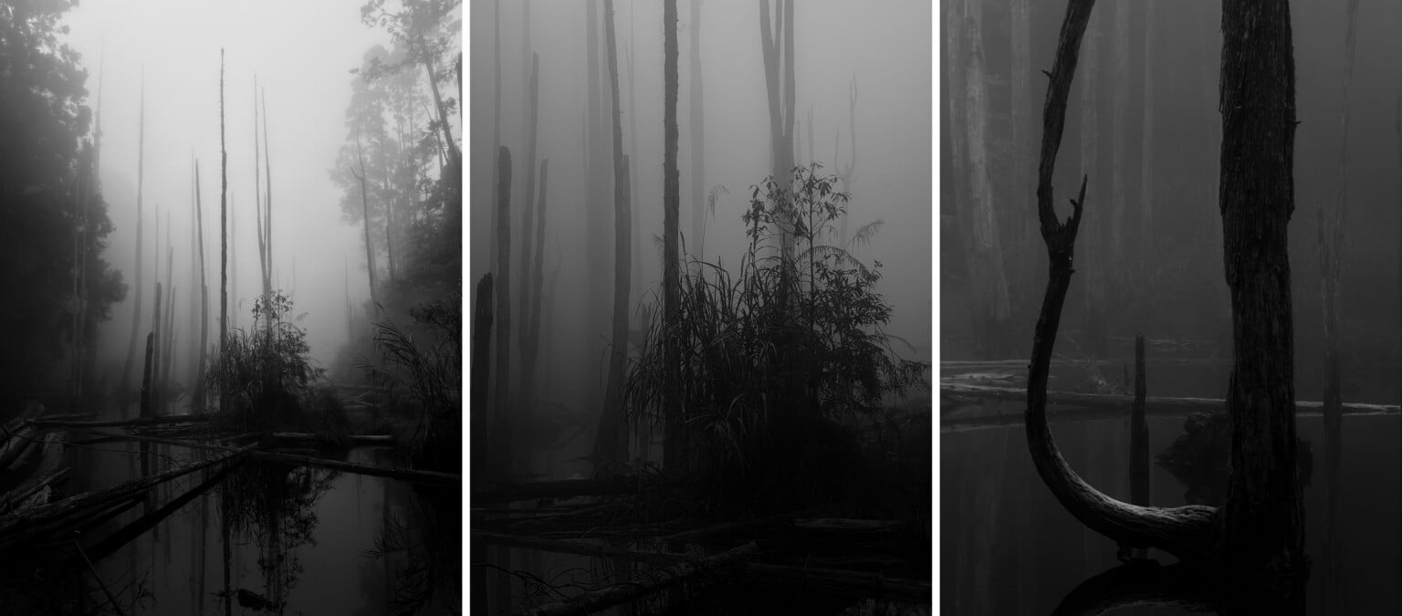 16 Award-Winning Photographers Showcase the Power of iPhone | PetaPixel