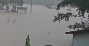 Flooded area with rooftops and trees barely visible above the water. Only the tops of structures and some plants are seen, highlighting the severity of the flooding.