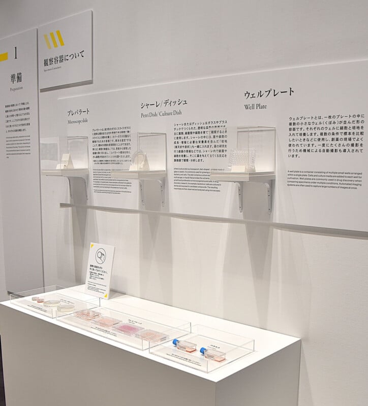 A museum exhibit display titled "Specimen Containers" features three wall-mounted examples—a microscope slide, a Petri dish, and a well plate—with corresponding descriptive text and a lower shelf containing additional samples.