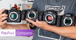 Person holding four mirrorless cameras—Nikon, Sony, Canon, and Lumix—side by side, with no lenses attached. "PetaPixel Compares" text is at the bottom left corner.