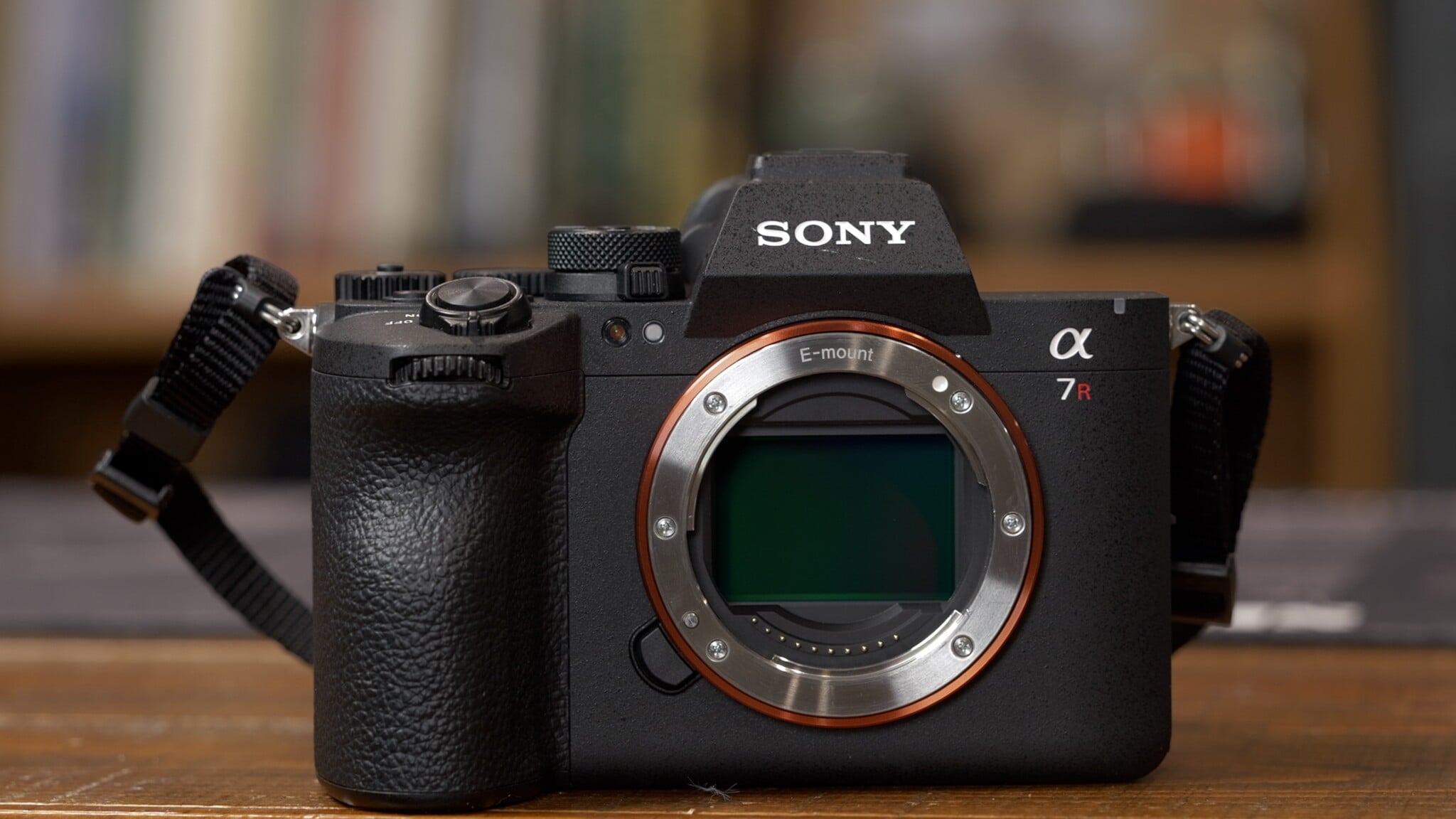 Which High-Resolution Full-Frame Camera Has the Best Sensor? | PetaPixel