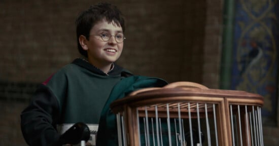 A young boy with glasses smiles while standing next to a large wooden cage, with a blurred brick wall and stained-glass window in the background.