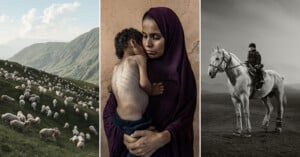 A triptych: left, sheep on a green hillside; center, a woman in a purple veil holds a malnourished child; right, a person in dark clothing rides a white horse on a plain under a cloudy sky.
