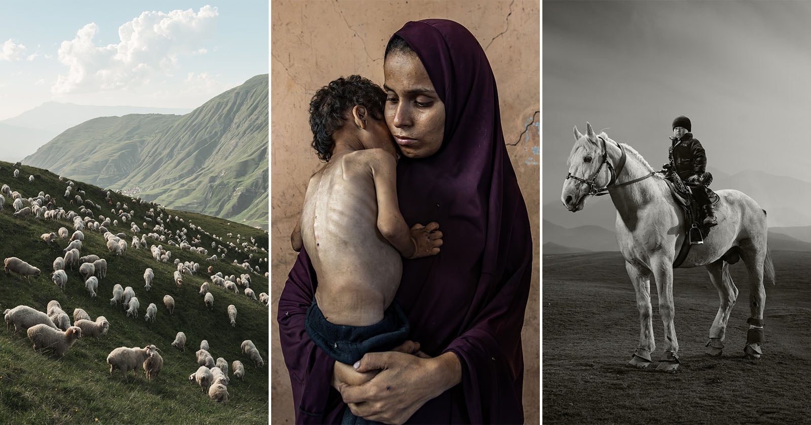A triptych: left, sheep on a green hillside; center, a woman in a purple veil holds a malnourished child; right, a person in dark clothing rides a white horse on a plain under a cloudy sky.