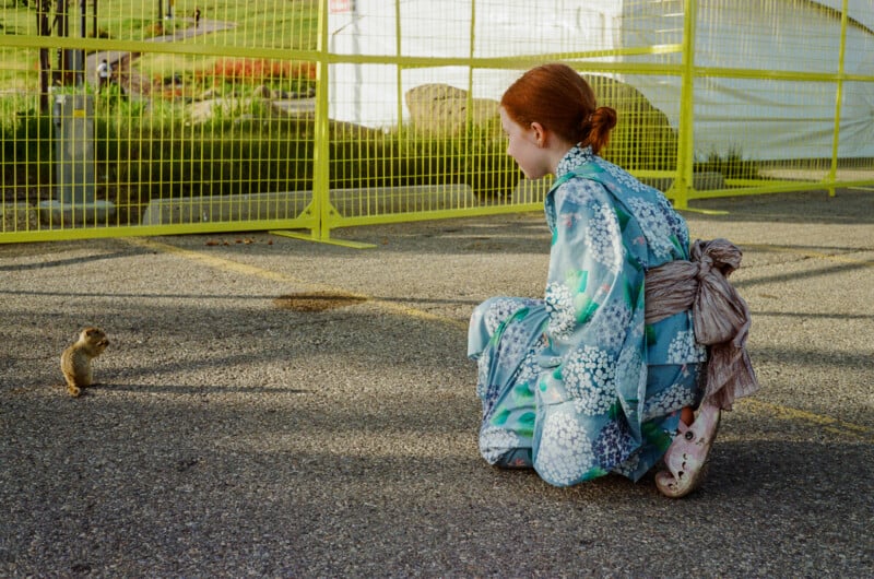 A girl with red hair in a blue floral kimono kneels on asphalt, looking at a small ground squirrel standing nearby.
