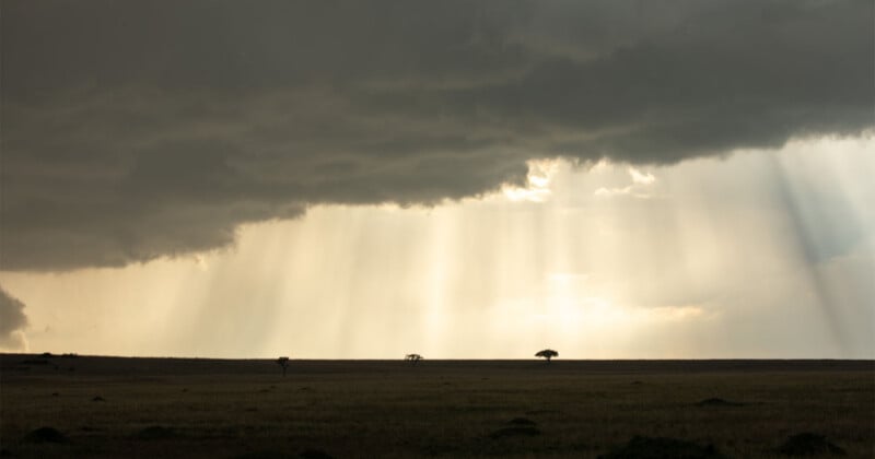 Sunlight streams through gaps in dark, heavy storm clouds over a vast, flat savanna with a few scattered trees.