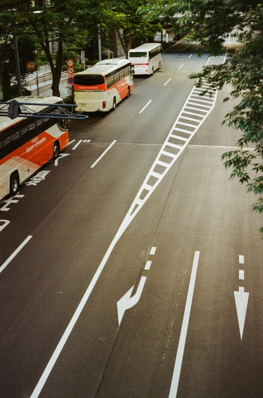 Three Airport Limousine buses travel along a multi-lane road with white painted lane markings and directional arrows.