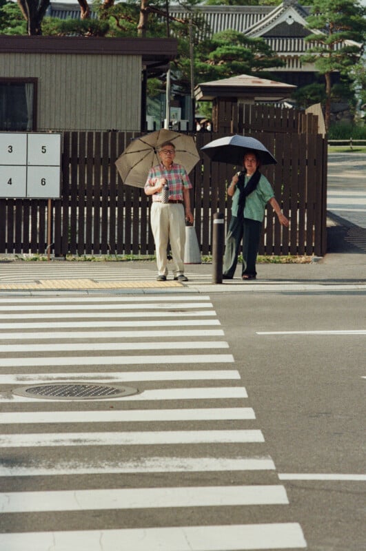 An elderly man and woman stand on a sidewalk next to a crosswalk, each holding an umbrella.