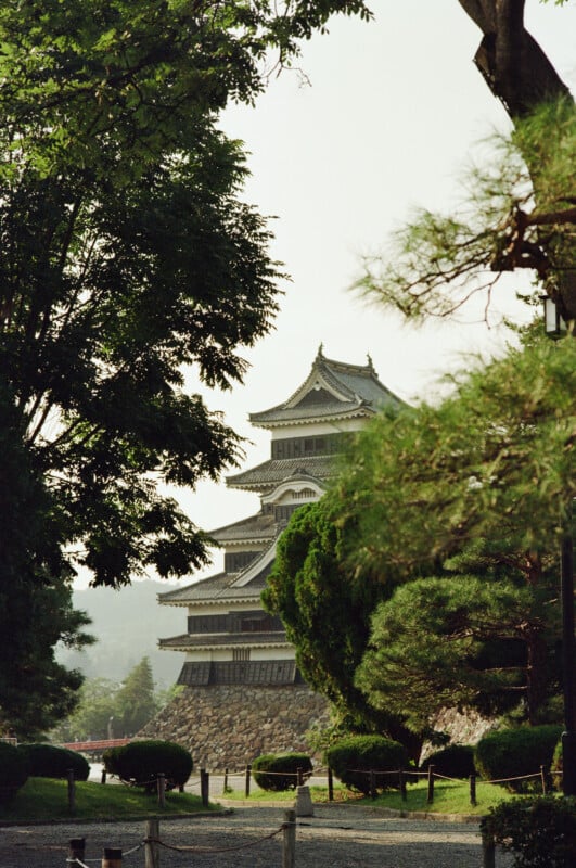 A multi-storied Japanese castle with dark walls and a tiled roof rises behind lush green trees and manicured shrubs.