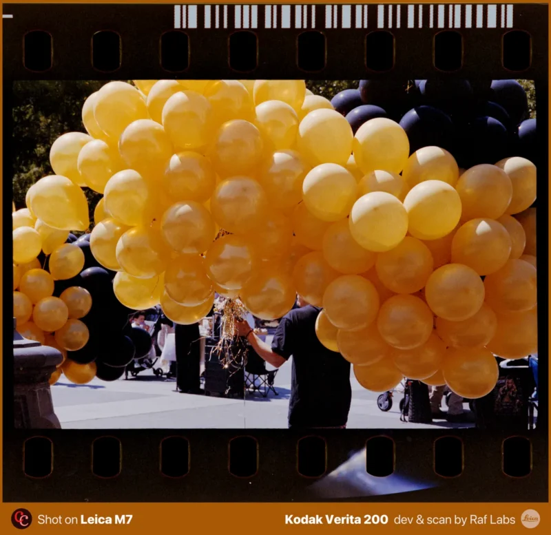 A person holds a large bunch of yellow balloons with a few black balloons visible in the background.